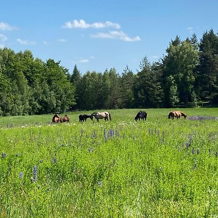 Koziula - Domki I Lesne Spa Na Kaszubach Przywidz  Exterior photo